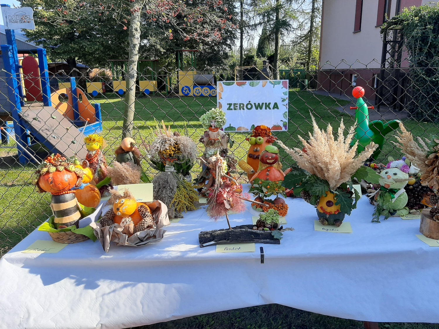 Kadra Pedagogiczna Zdjęcie 2